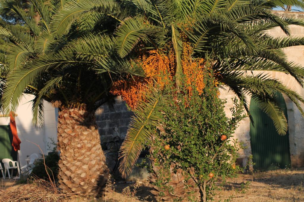 Masseria Vivi il Salento Santa Caterina  Camera foto
