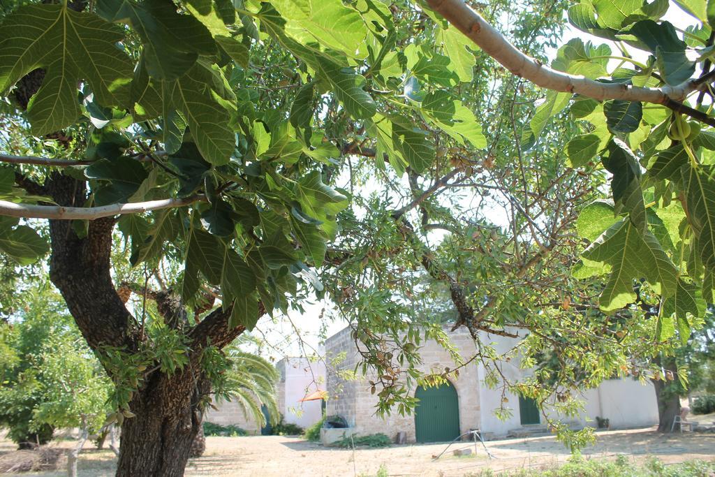 Masseria Vivi il Salento Santa Caterina  Camera foto