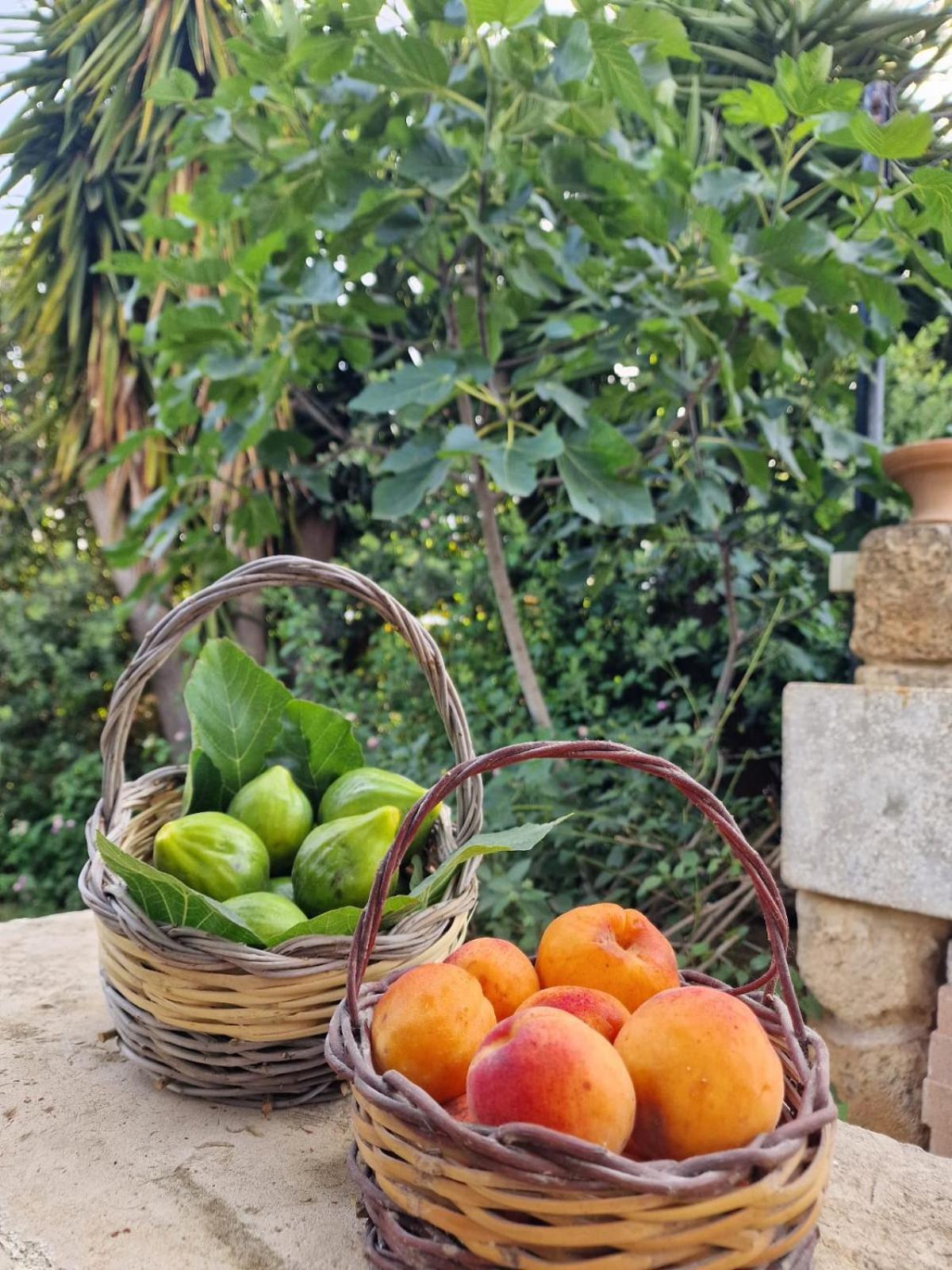 Masseria Vivi il Salento Santa Caterina  Esterno foto