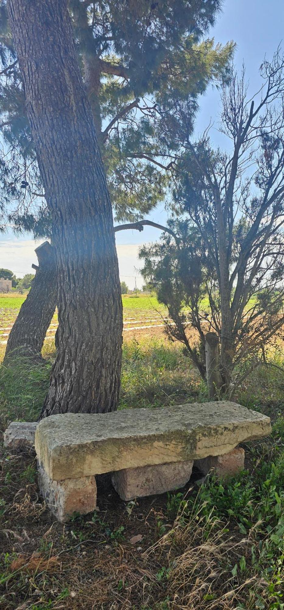 Masseria Vivi il Salento Santa Caterina  Esterno foto