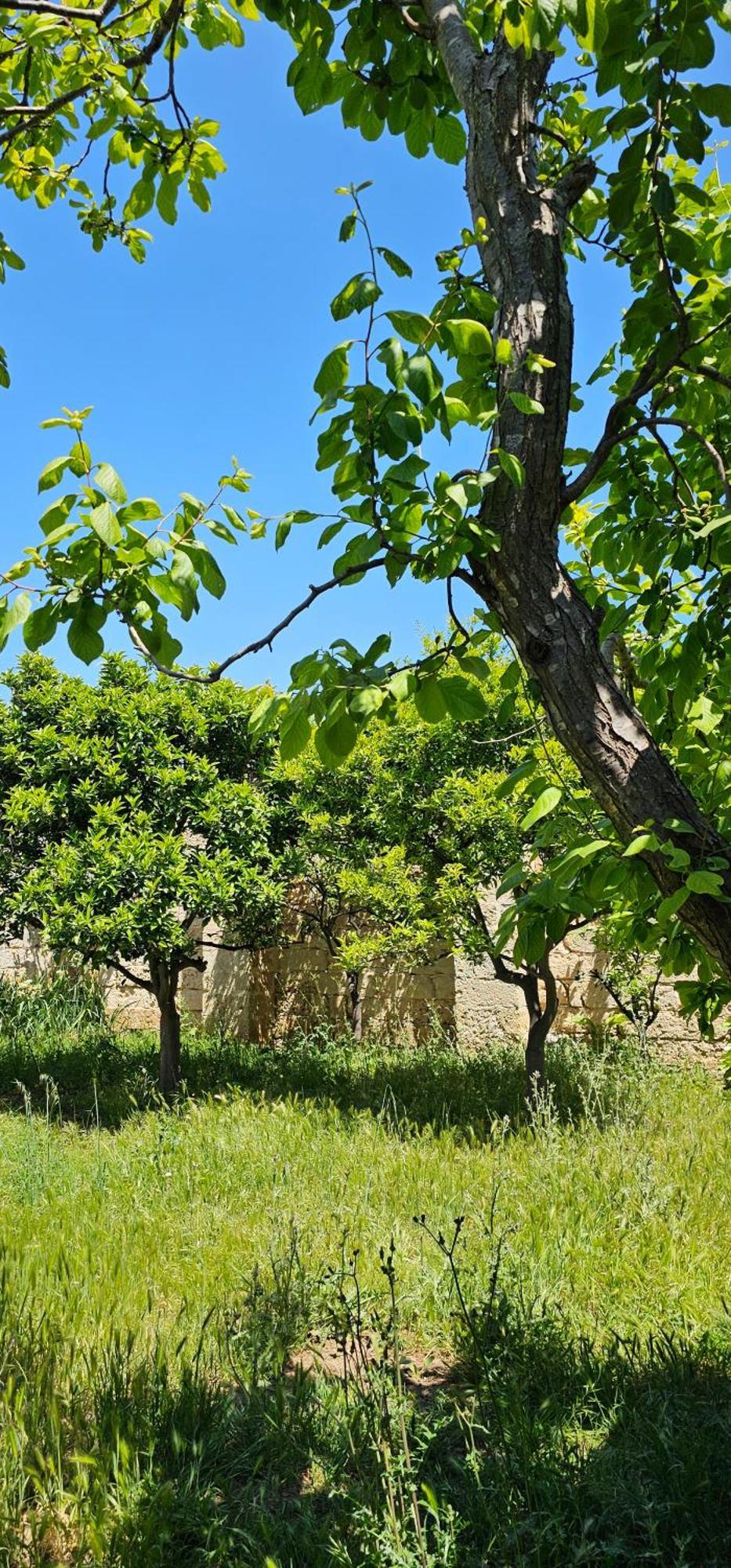 Masseria Vivi il Salento Santa Caterina  Esterno foto