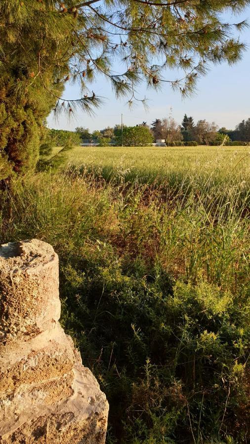 Masseria Vivi il Salento Santa Caterina  Esterno foto